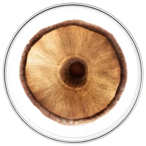 Alternative view of Sản phẩm 2 (Sao chép)