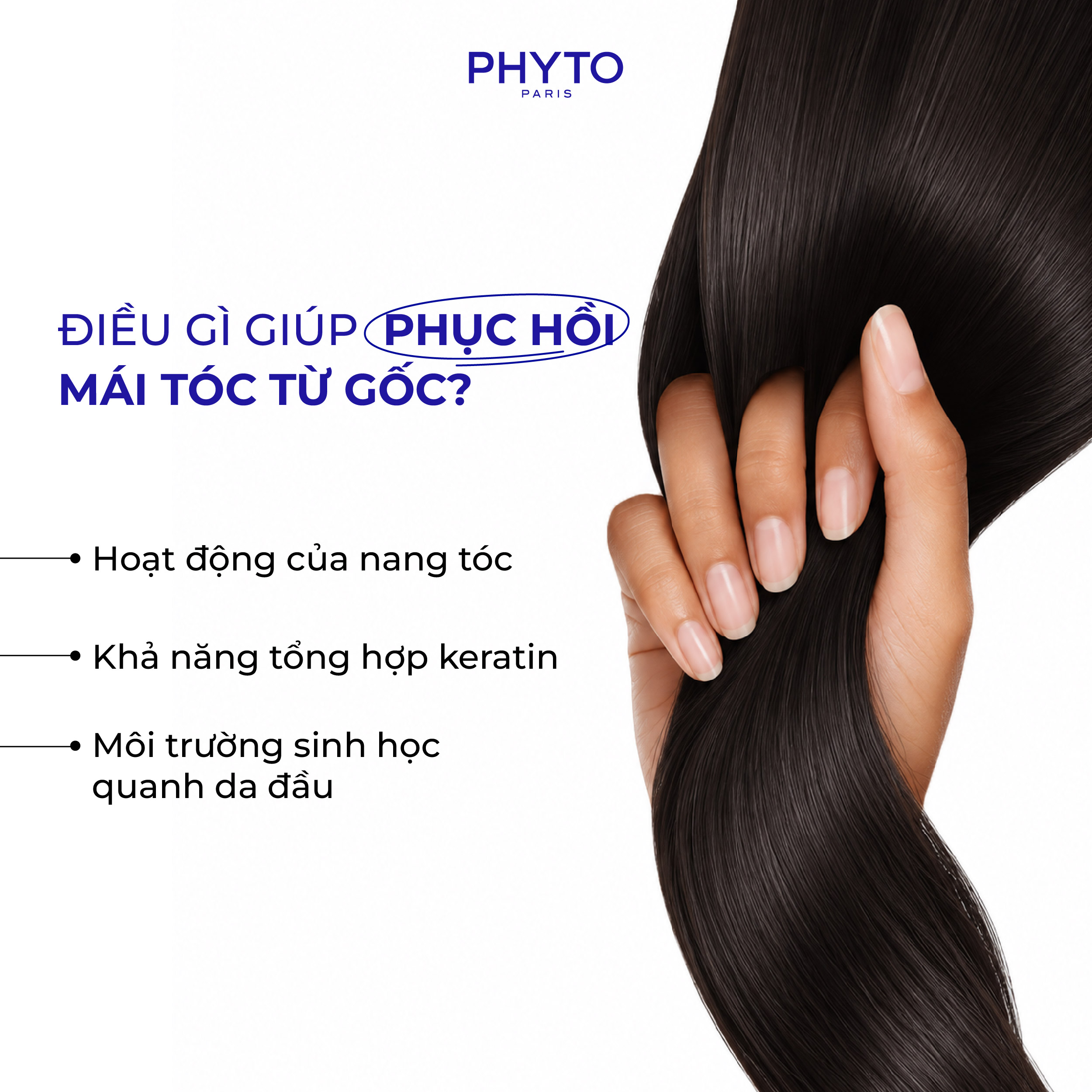 Hình ảnh yếu tố giúp mọc tóc từ gốc