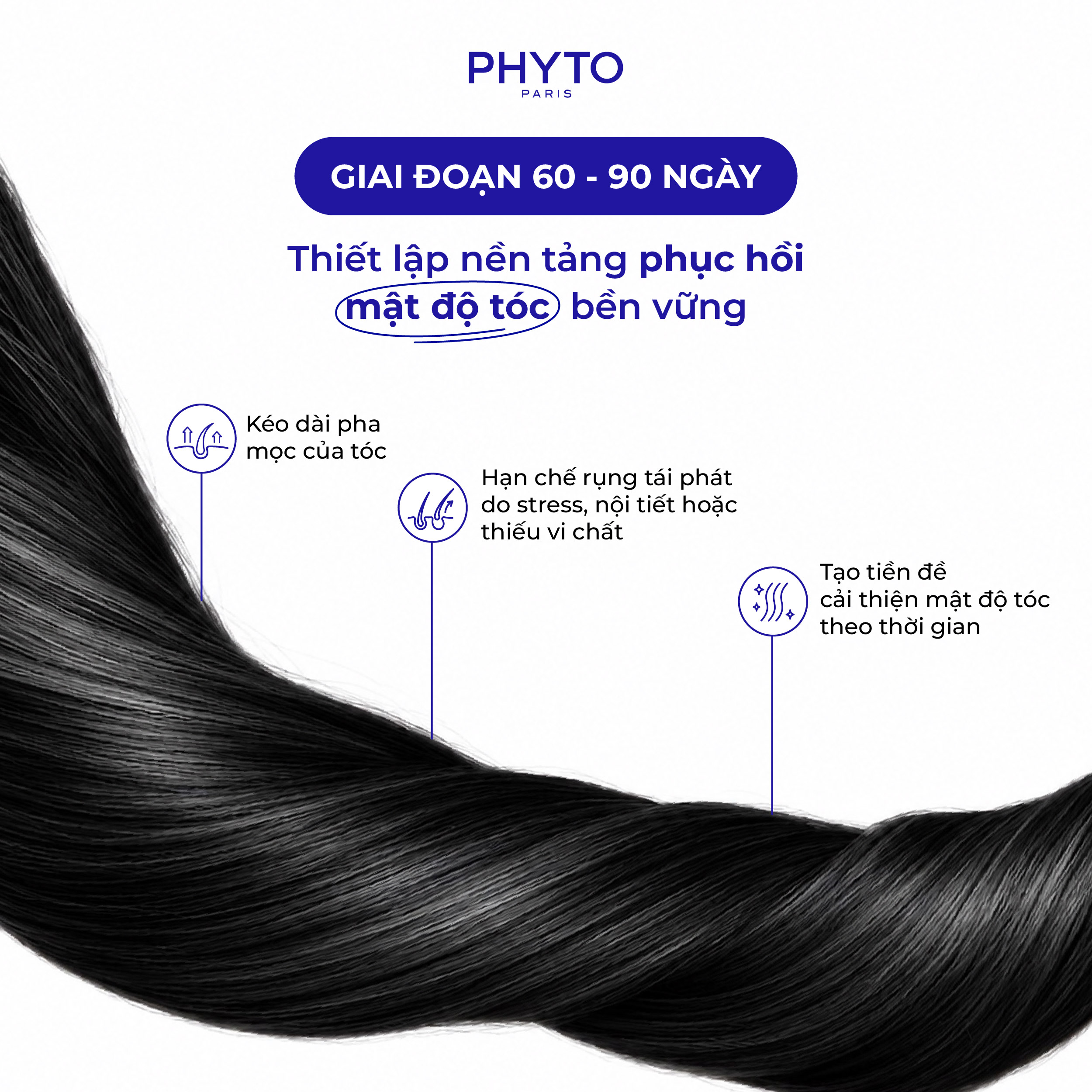 Hình ảnh giai đoạn 60-90 ngày dùng Combo In & Out: thiết lập nền tảng phục hồi mật độ tóc bền vững