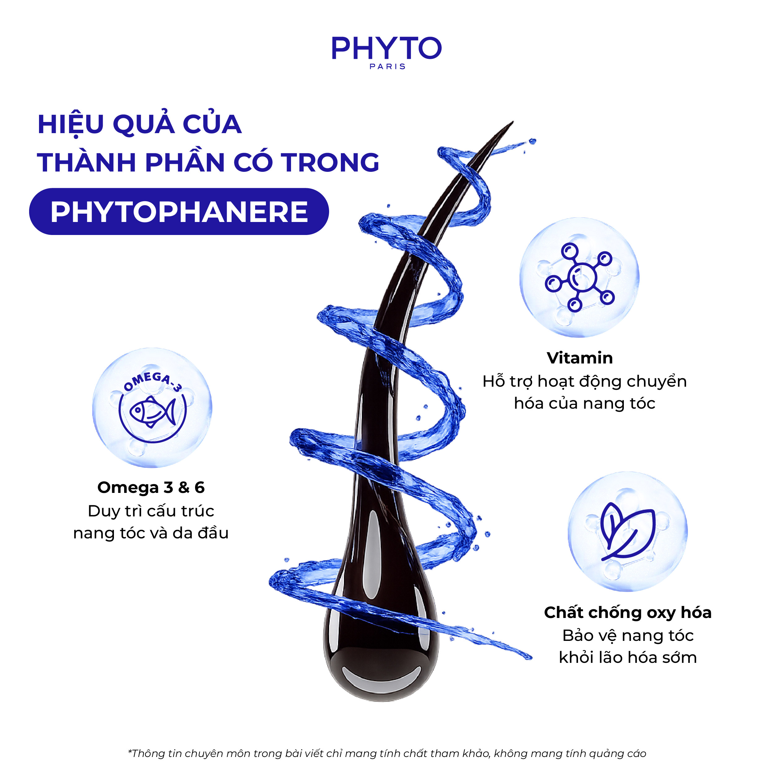 Hình ảnh về tác dụng của vitamin, dầu thực vật và chất chống oxy hóa trong Phyto Phanere