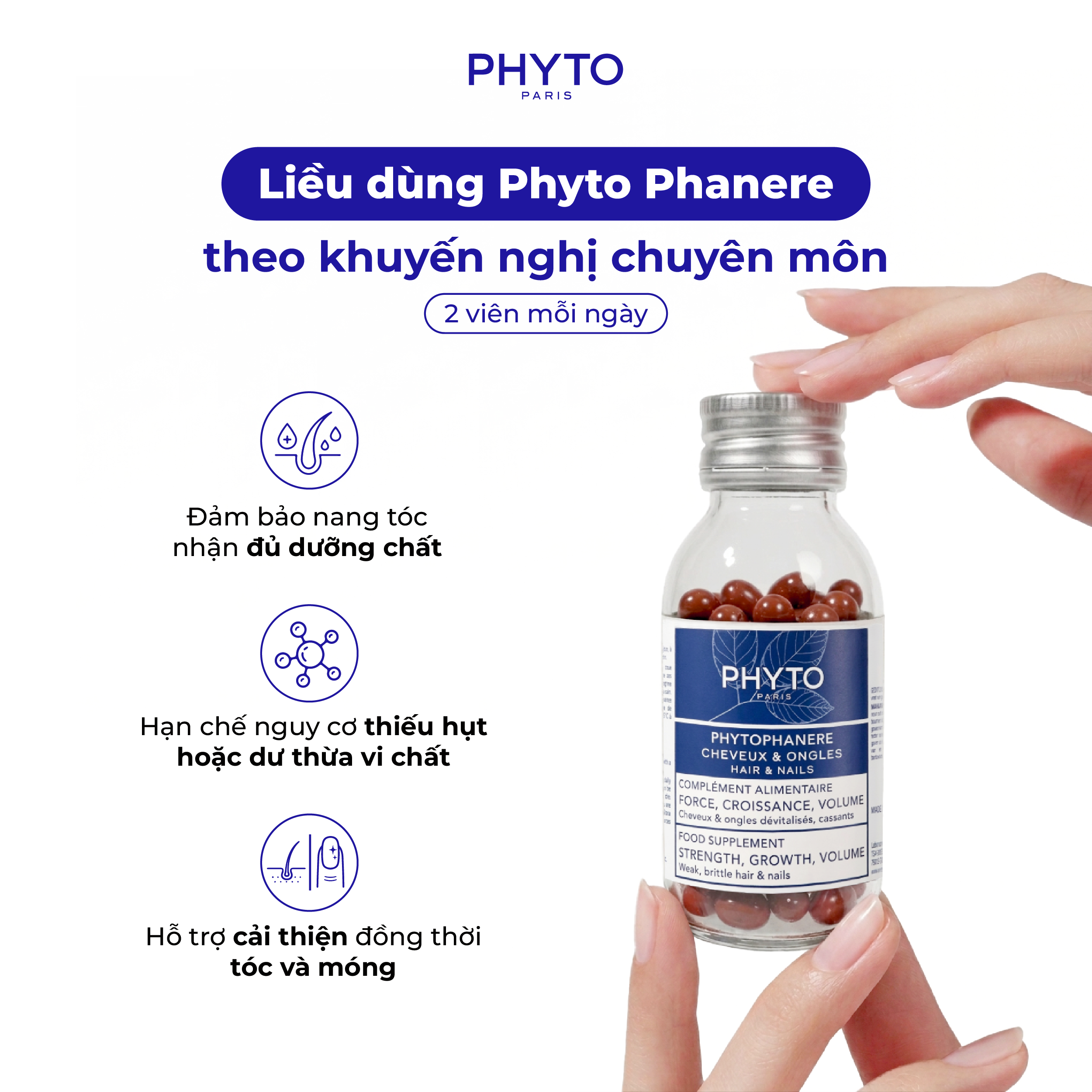Liều dùng Phyto Phanere theo khuyến nghị chuyên môn