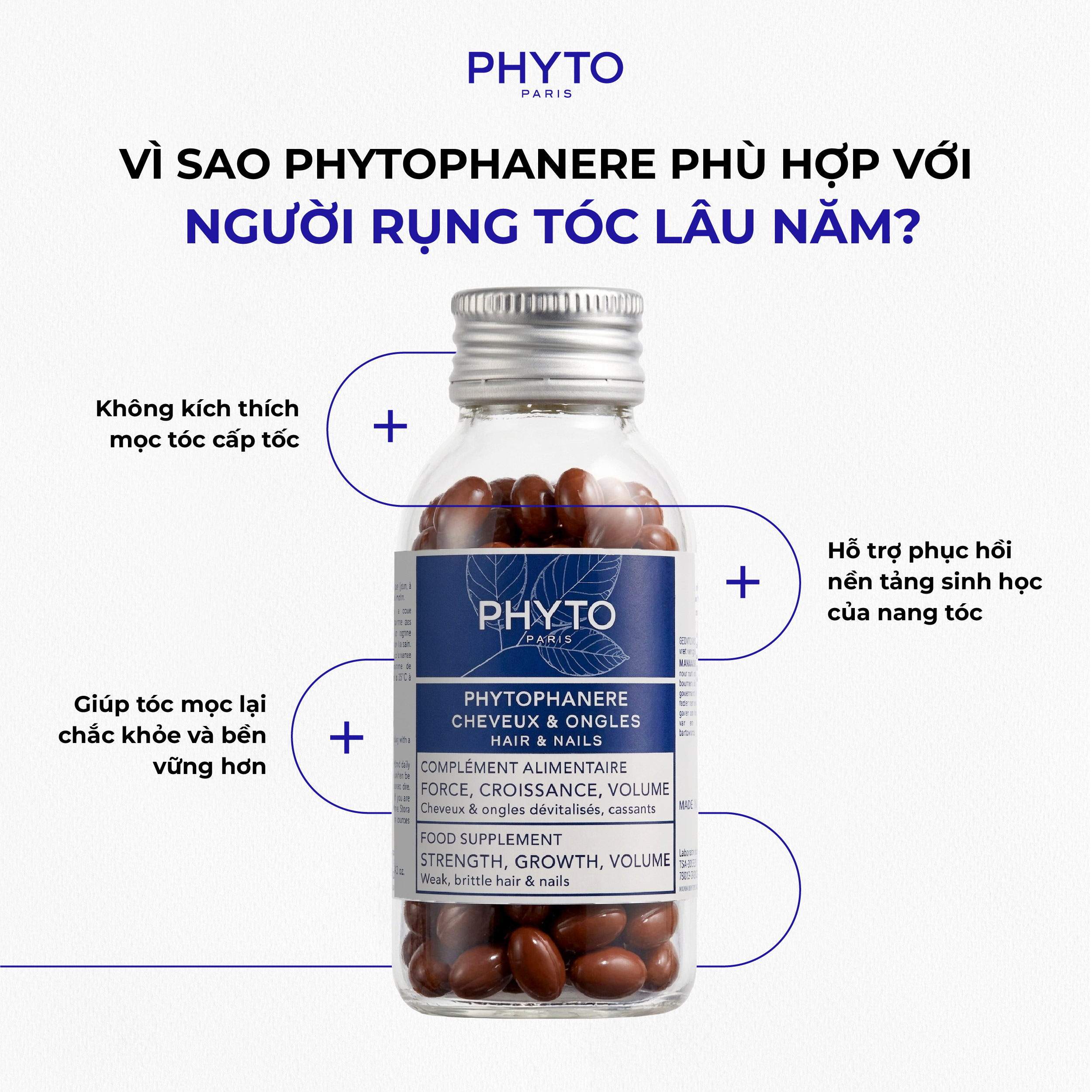 Hình ảnh lý do Phytophanere phù hợp cho người rụng tóc lâu năm