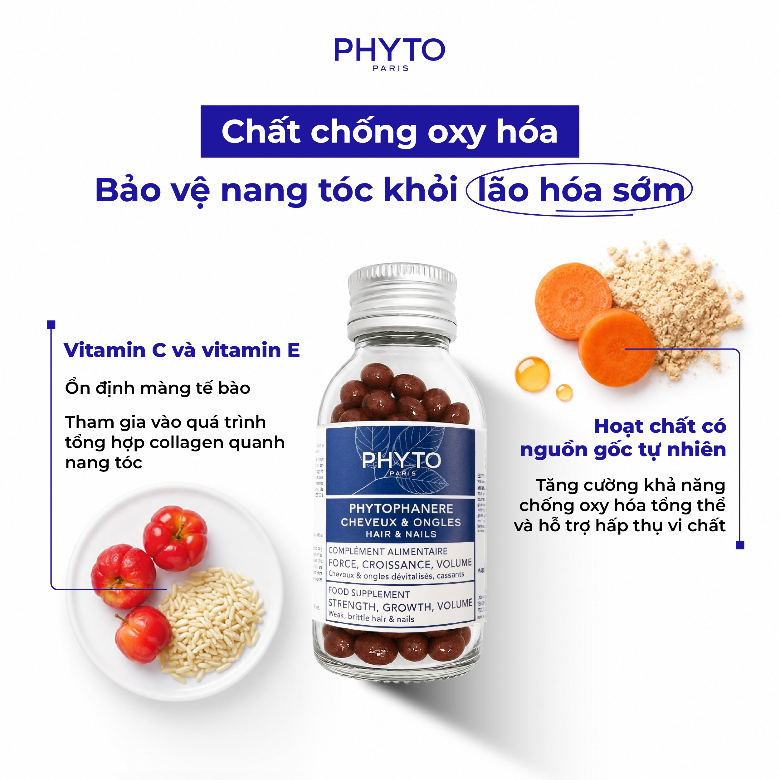 chat chong oxy hoa trong Phyto Phanere va vai tro bao ve nang toc