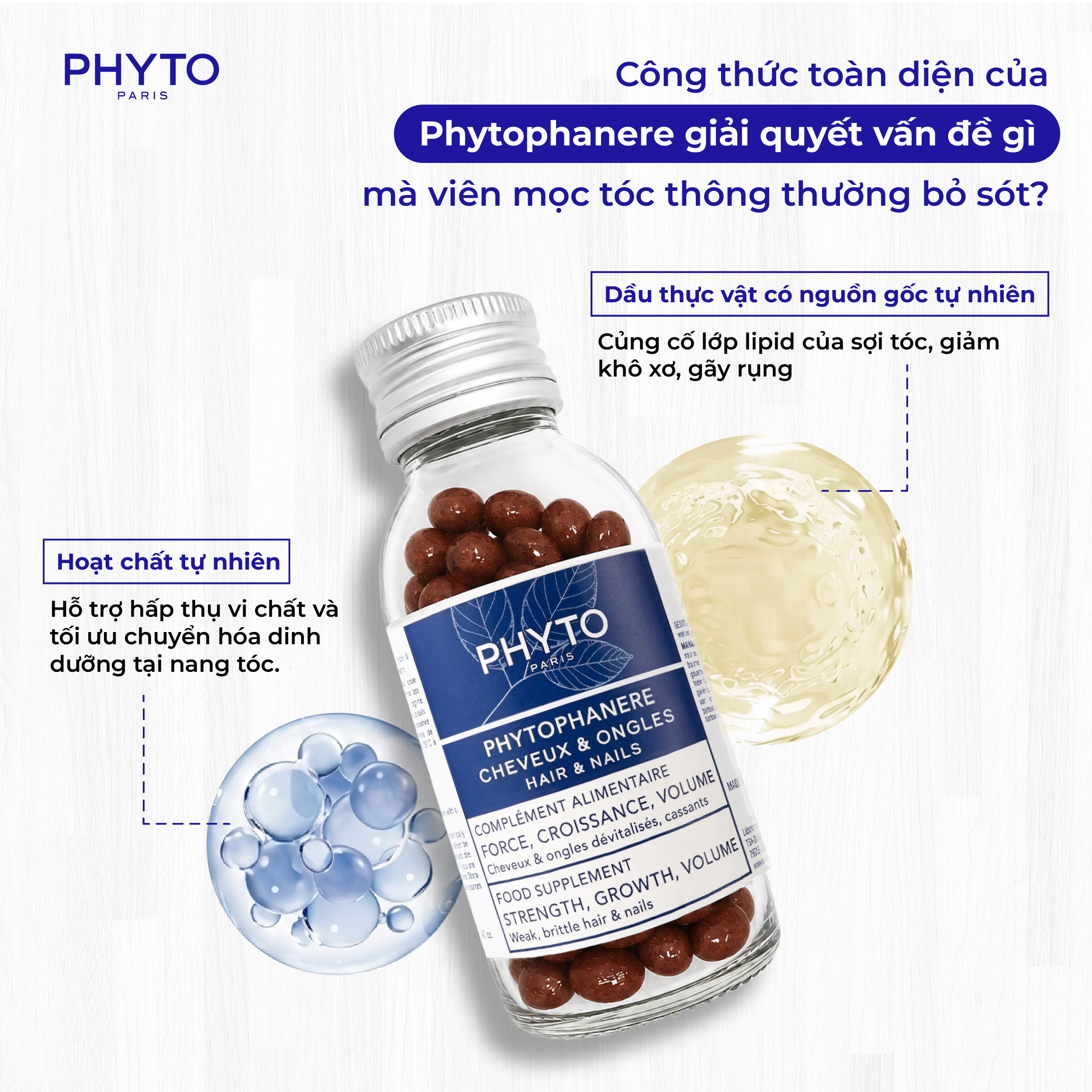 cong thuc toan dien cua Phyto Phanere voi vitamin khoang chat dau tu nhien va chiet xuat thuc vat