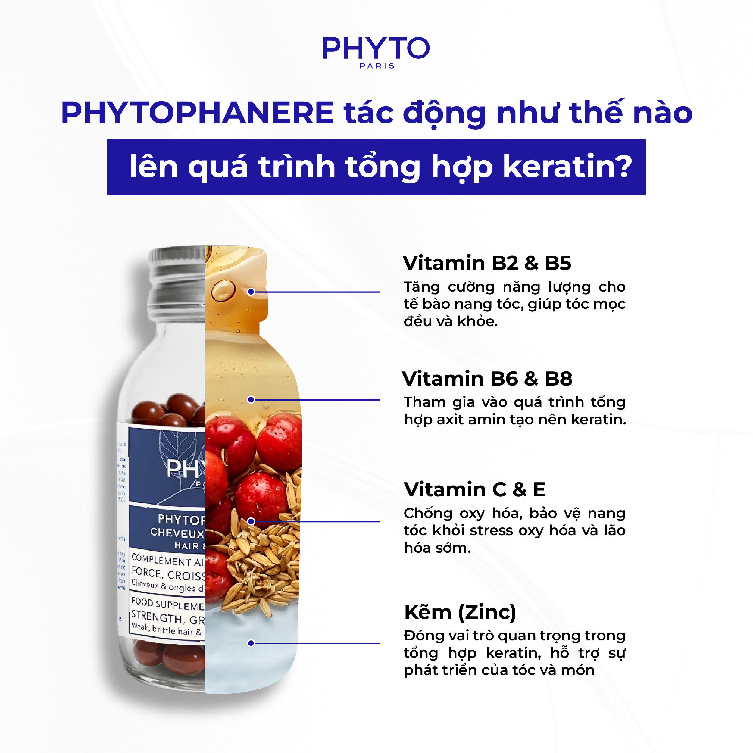 Phyto Phanere tác động như thế nào lên quá trình tổng hợp keratin?