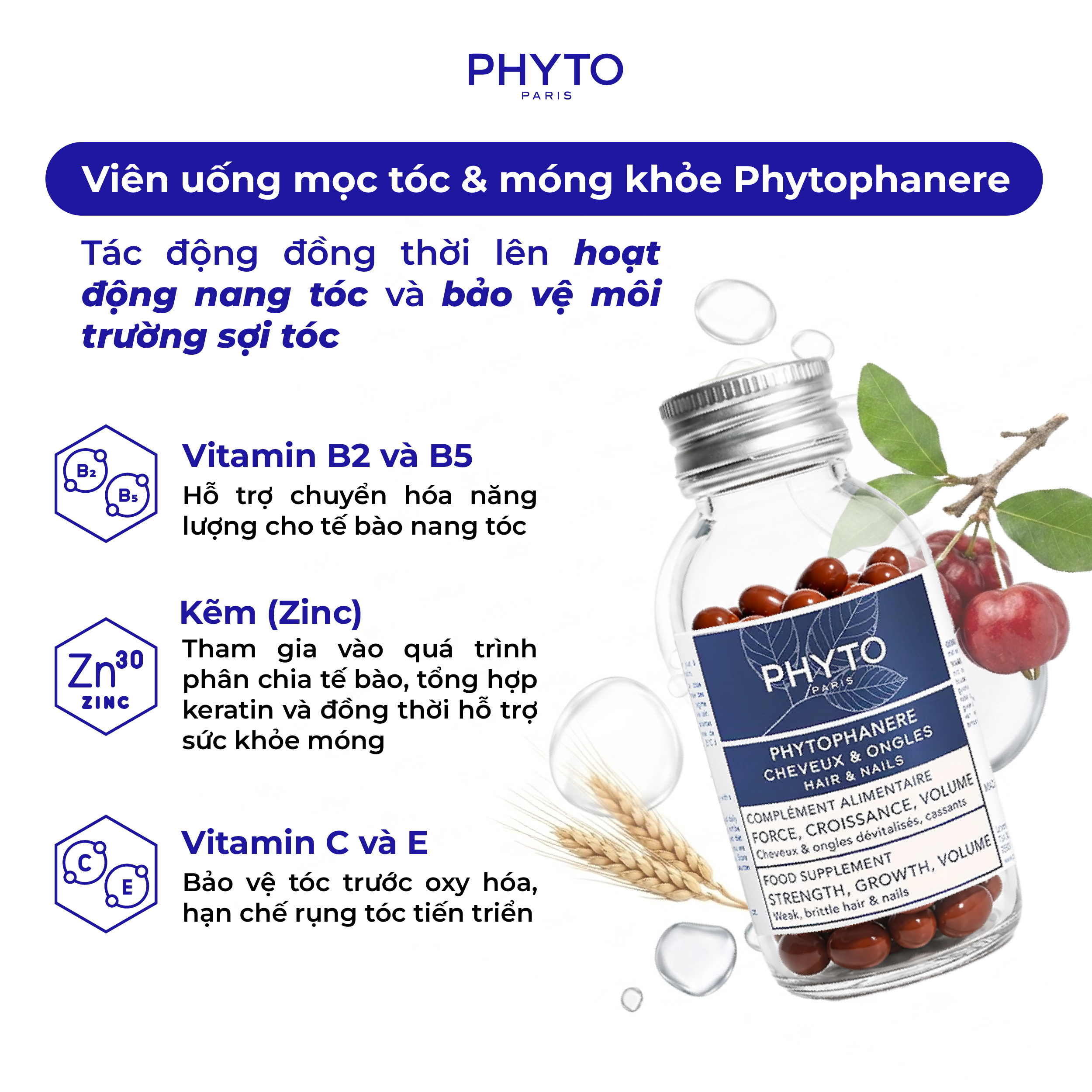 Phyto Phanere tiep can cham soc toc va mong tu ben trong