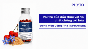 vai tro cua dau thuc vat va chat chong oxy hoa trong vien uong Phyto Phanere